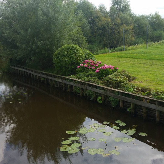 tumblr_oc0a3rfWxS1s4sk01o1_540