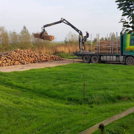 tumblr_oy2w9zSfiD1s4sk01o1_540